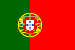 image represents the flag of portugal